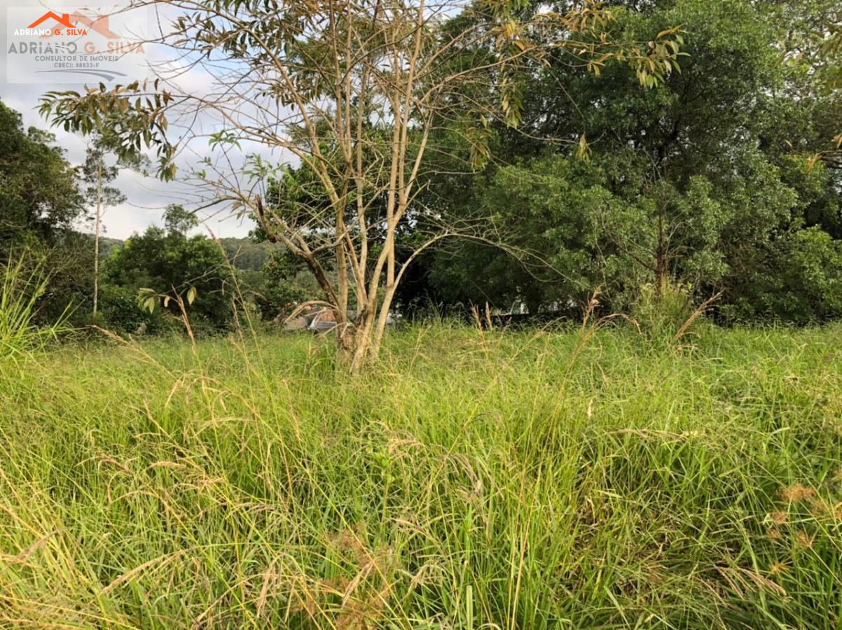 Lote para Venda em Embu das Artes / SP no bairro ITATUBA - ADRIANO CONSULTOR DE IMÓVEIS
