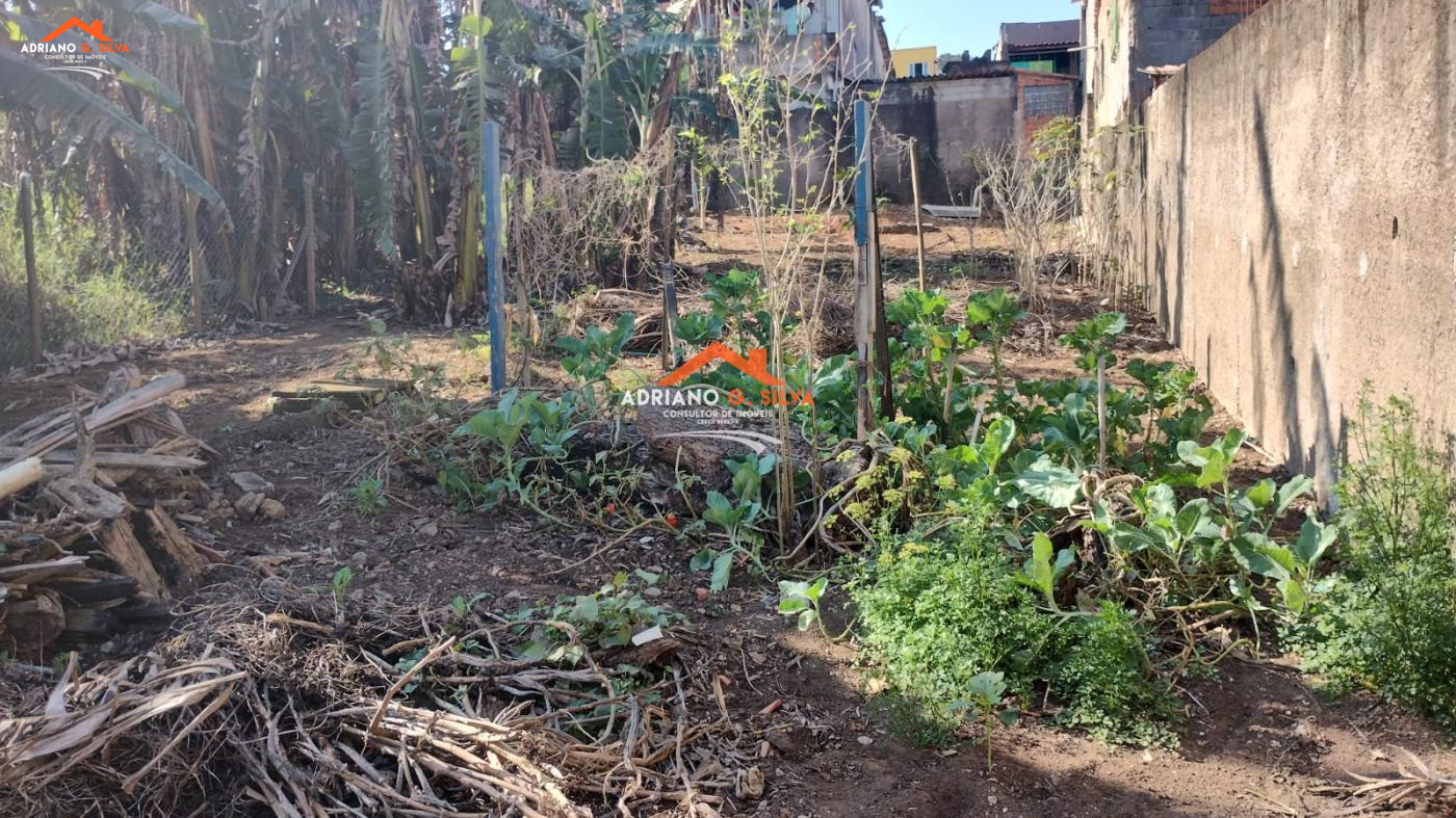 Lote para Venda em Embu das Artes / SP no bairro JARDIM PINHEIROS - ADRIANO CONSULTOR DE IMÓVEIS