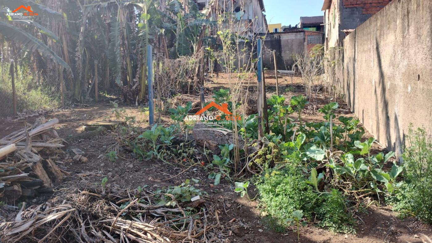 Lote para Venda em Embu das Artes / SP no bairro JARDIM PINHEIROS - ADRIANO CONSULTOR DE IMÓVEIS