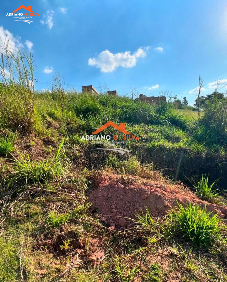 Lote para Venda em Cotia / SP no bairro PARQUE ALEXANDRE - ADRIANO CONSULTOR DE IMÓVEIS