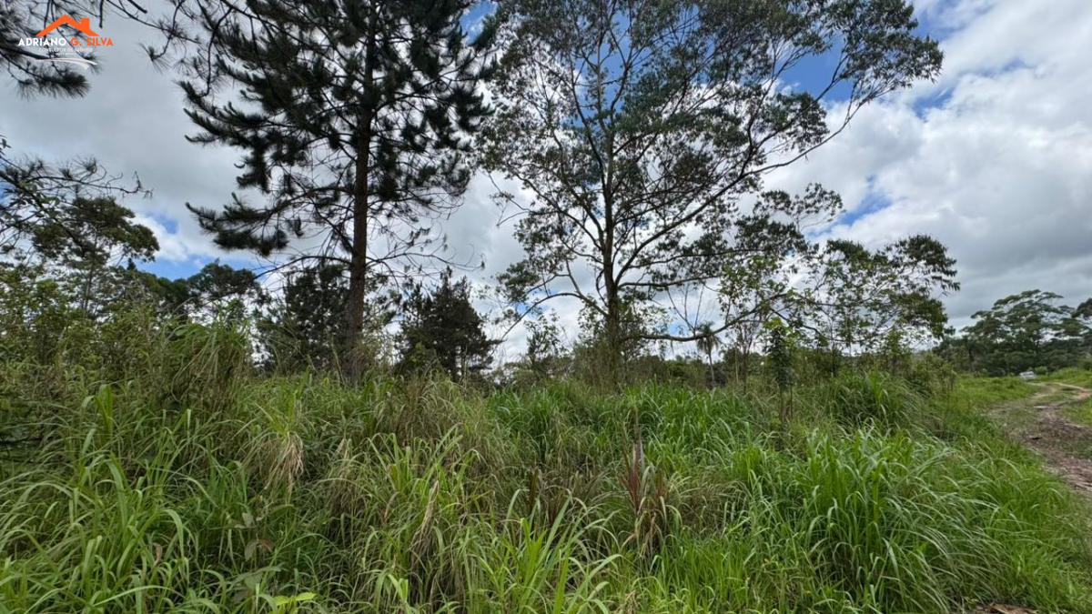 Área à venda em Itapecerica da Serra, Potuverá, 20.212,00m² - ADRIANO CONSULTOR DE IMÓVEIS