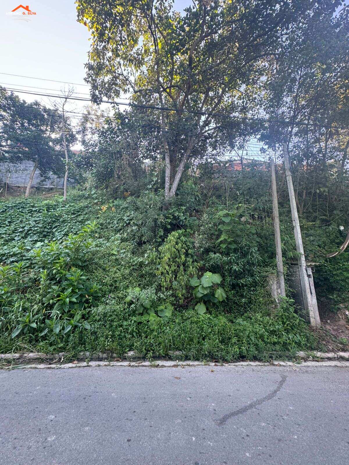 Lote à venda em Embu das Artes, Jardim Sílvia, 306,00m² - ADRIANO CONSULTOR DE IMÓVEIS