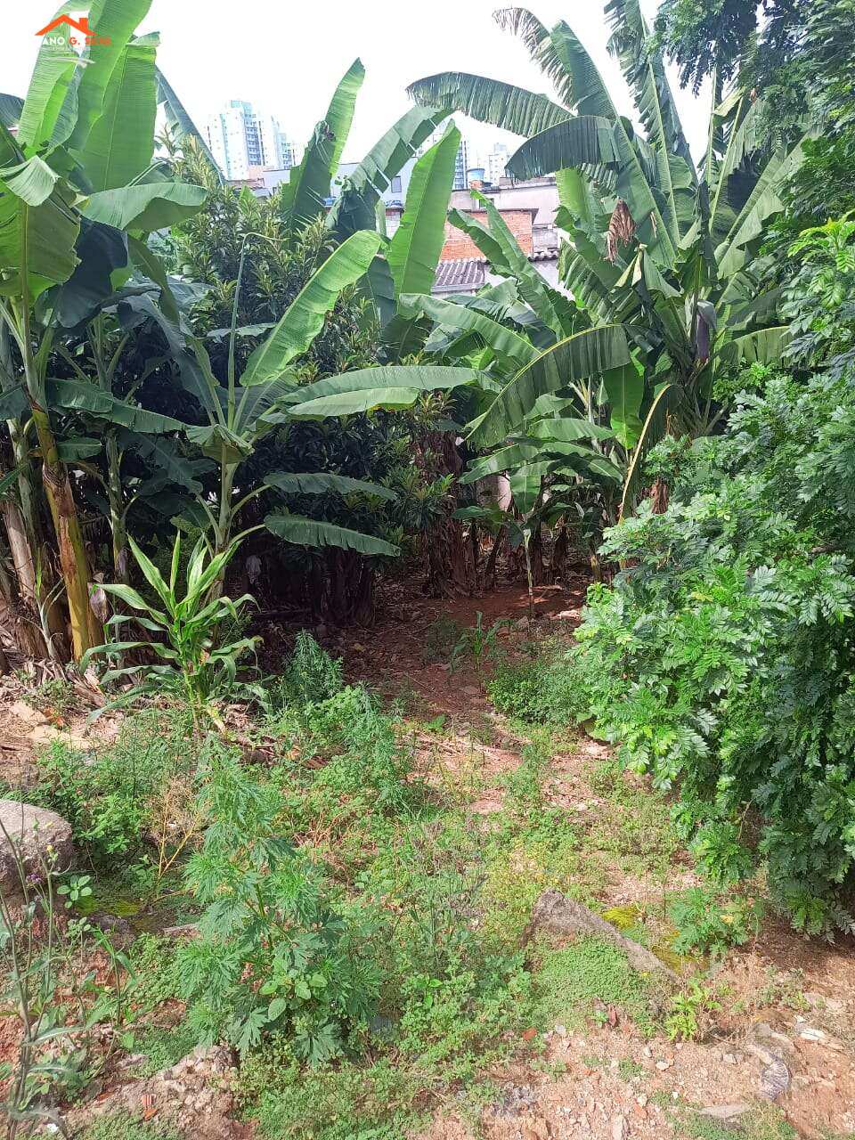 Lote à venda em Embu das Artes, Parque Esplanada, 518,00m² - ADRIANO CONSULTOR DE IMÓVEIS