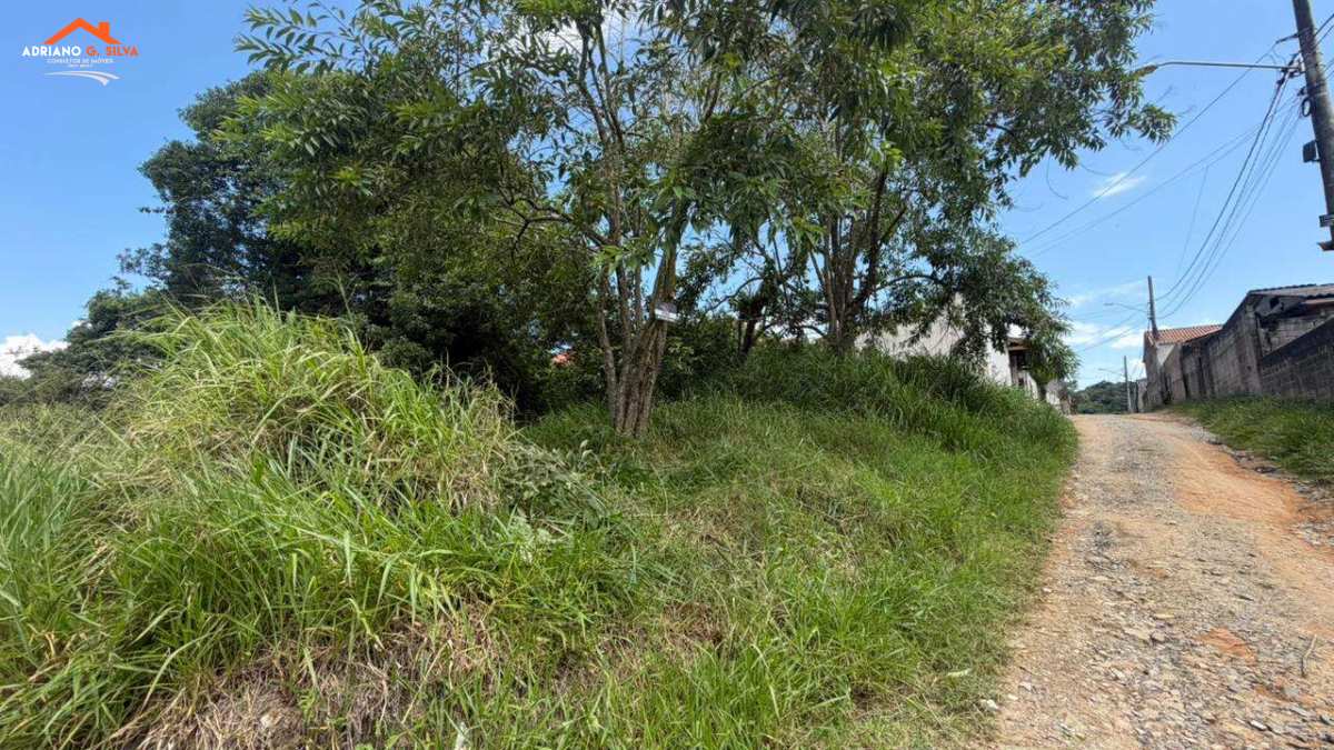 Lote para Venda em Embu das Artes / SP no bairro ITATUBA - ADRIANO CONSULTOR DE IMÓVEIS