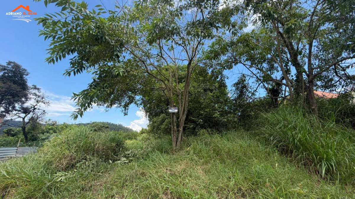 Lote para Venda em Embu das Artes / SP no bairro ITATUBA - ADRIANO CONSULTOR DE IMÓVEIS