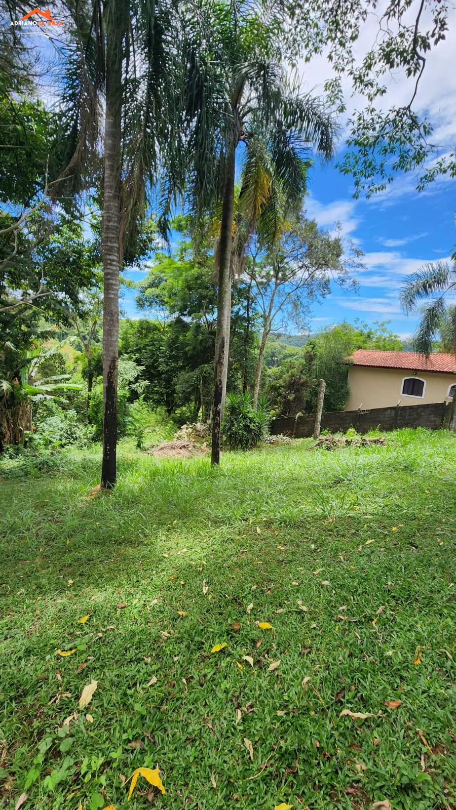 Terreno à venda em Embu das Artes, Chácaras São Cristóvão, 1.965,10m² - ADRIANO CONSULTOR DE IMÓVEIS